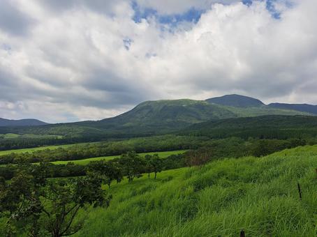 緑の草原 緑の草原の写真