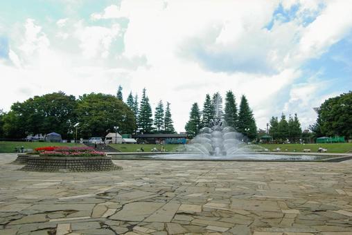 世田谷公園の噴水広場 世田谷公園の噴水広場の写真
