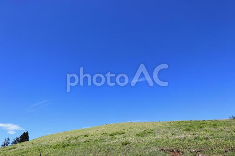 霧ヶ峰　青空 ビーナスライン,霧ヶ峰,夏の写真素材