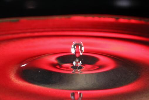 水滴 水滴,水,波紋の写真素材
