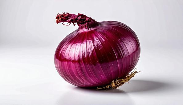 白い背景の赤玉ねぎ 白い背景の赤玉ねぎの写真