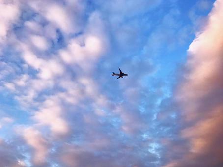 夕空と飛行機 夕空と飛行機の写真