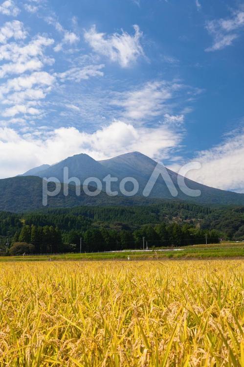 田園風景と高千穂峰 田園風景,水田,田園の写真素材