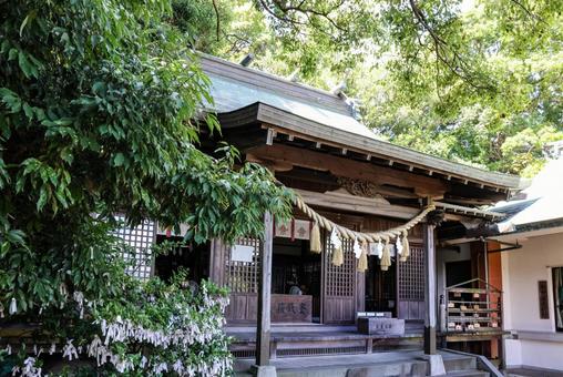 大浦諏訪神社 大浦諏訪神社 大浦諏訪神社,諏訪神社,祈りの三角ゾーンの写真素材