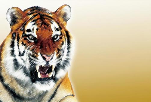 New Year's card Tiger year 009, JPG New Year's card Tiger year 009, new year's card, template, 2022, JPG