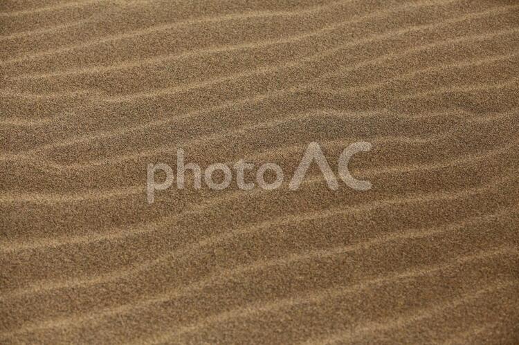 砂丘の風紋 砂丘,砂漠,孤独の写真素材