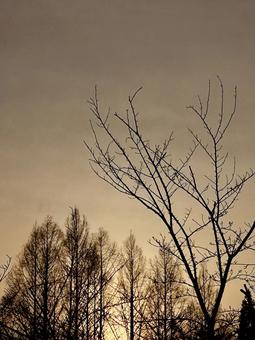 夕暮れの風景 夕方,風景,夕暮れの写真素材