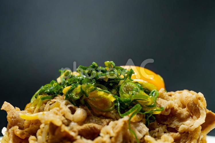 生卵をのせたネギ牛丼 牛丼,牛肉,ネギの写真素材