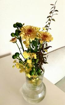 秋の花のイメージ 秋の花,スプレー菊,黄色の花の写真素材