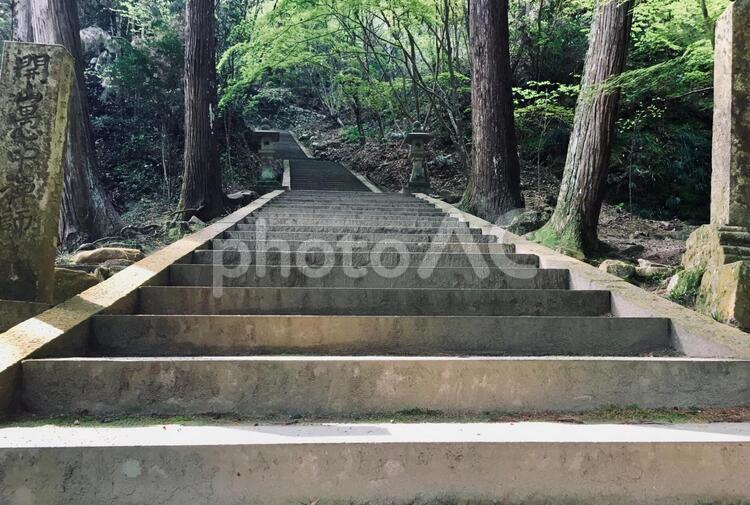 お寺の石段 寺,開山堂,佛通寺の写真素材