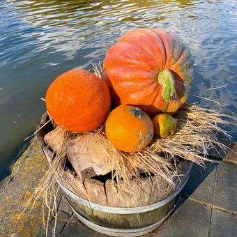 Halloween decorations, JPG