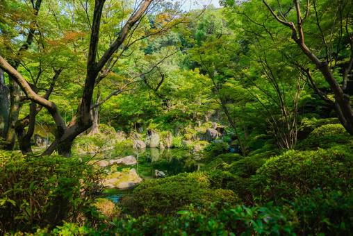 【和歌山】和歌山城 2025 【和歌山】和歌山城 2025の写真