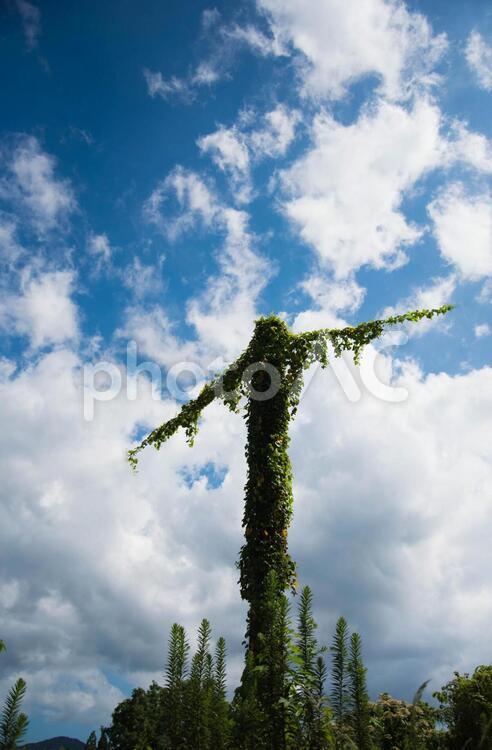 イエスの祈り 青空,夏,雲の写真素材