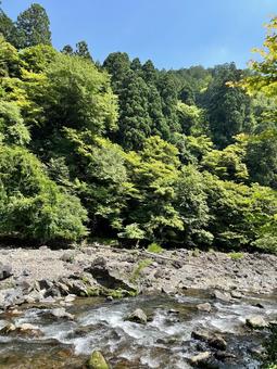 京都清滝川 京都清滝川の写真