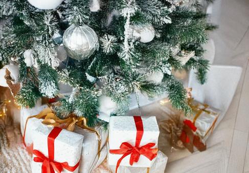 クリスマスツリーの下のプレゼント（白） ツリー,冬,寒いの写真素材