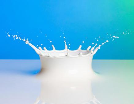 ミルククラウン ミルククラウンの写真