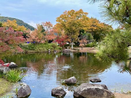 秋の夕方　福井県紫式部公園 紫式部公園,福井県,庭園の写真素材