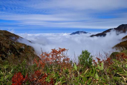 北アルプス大日岳紅葉登山 北アルプス大日岳紅葉登山 北アルプス,立山,大日岳の写真素材