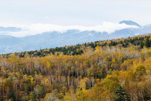 秋の三国峠 三国峠,秋,紅葉の写真素材