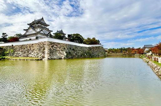 岸和田城 大阪,大阪府,岸和田の写真素材