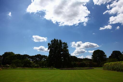 Photo, autumnal weather, biru langit, clear weather, 