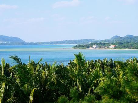 川平湾 遠景 川平湾 遠景 石垣島,バカンス,青空の写真素材