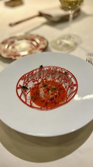 イタリアンのコース料理・魚料理 イタリアン,コース,コース料理の写真素材