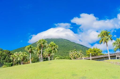 鹿児島　開聞山麓自然公園（トカラ馬牧場） 開聞山麓自然公園,トカラ馬牧場,開聞岳の写真素材