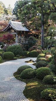 龍潭寺 背景素材,自然,紅葉の写真素材