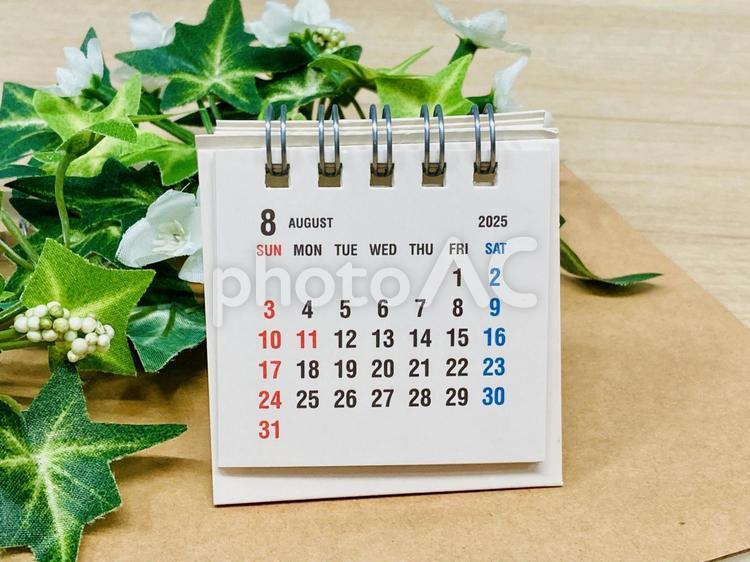 8月の卓上カレンダーとグリーン 8月,カレンダー,スケジュールの写真素材