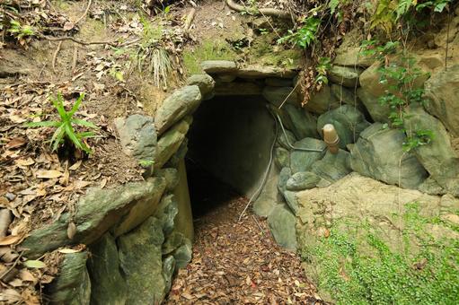 愛媛県八幡浜市　愛宕山王照院　遊歩道 愛宕山王照院,愛宕山,神社の写真素材