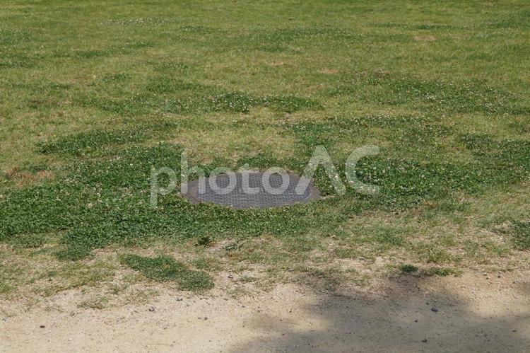 公園の中のマンホール マンホール,公園,自然の写真素材