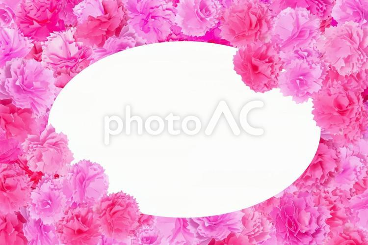 ピンクの花いっぱい華やかなフレーム 花,ピンク,華やかの写真素材