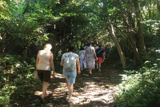 城ヶ崎海岸の小道を散策 城ヶ崎海岸の小道を散策 城ヶ崎海岸,小道,散策の写真素材