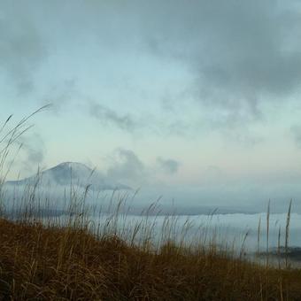 雲海の写真