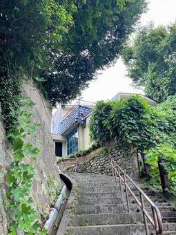 散歩道 散歩道 金沢市,石川県,自然の写真素材