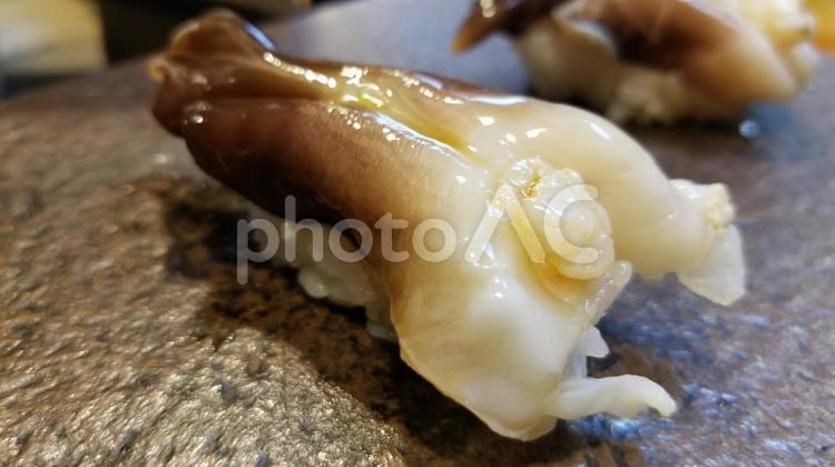 握り寿司　貝 日本,和食,すしの写真素材