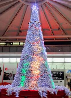 魔法のツリー クリスマスツリー,イルミネーション,インテリアの写真素材