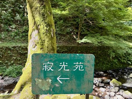 2025年夏の永平寺 寂光苑への案内看板 2025年夏の永平寺 寂光苑への案内看板 看板,案内,寂光苑の写真素材