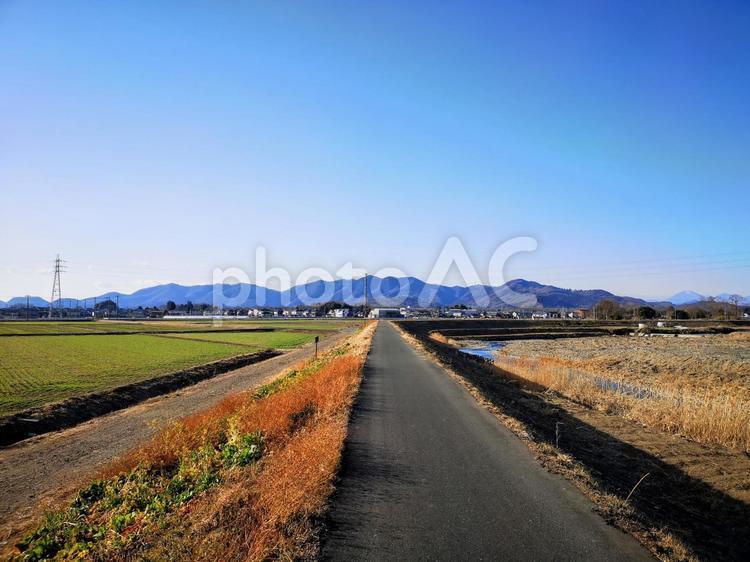 栃木市、永野川のサイクリング道より 自然,風景,川の写真素材