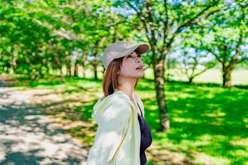 公園の木を見上げる散歩中の女性 公園の木を見上げる散歩中の女性 散歩,歩く,見上げるの写真素材