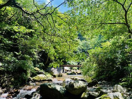 Photo, fish stop waterfall, summer, waterfall, 