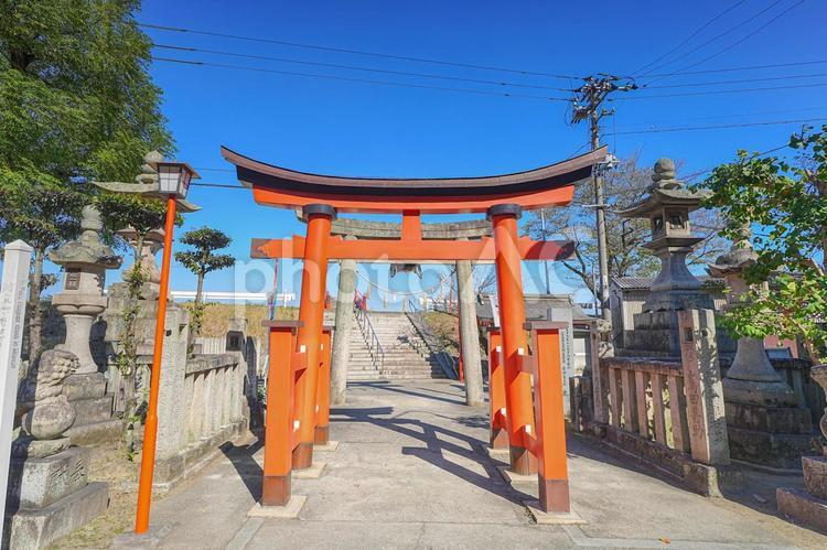 草戸稲荷神社 草戸稲荷神社,鳥居,神社の写真素材