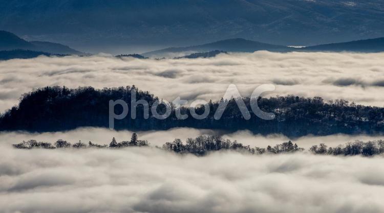 天空の森、朝もやに煙る美幌峠 美幌峠,霧,雲海の写真素材