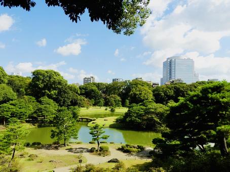 特別名勝六義園6 特別名勝六義園6 六義園,庭園,大名庭園の写真素材