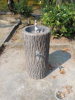 公園の水飲み場 公園の水飲み場の写真