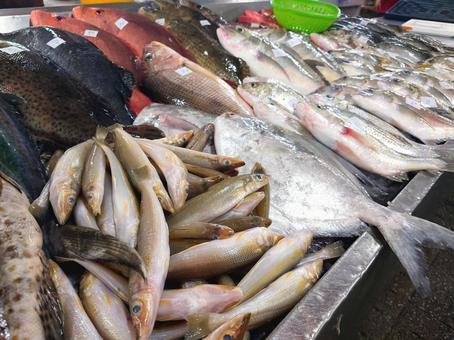 魚市場3 魚市場3 魚,海産物,鮮魚の写真素材
