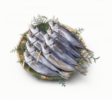 アジの干物 アジの干物 アジの干物,アジ,鰺の写真素材