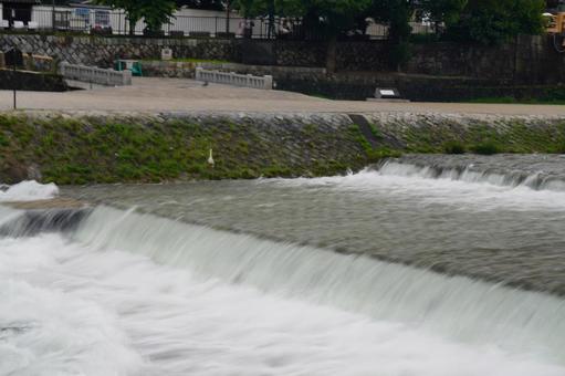 増水した鴨川の風景 増水した鴨川の風景の写真