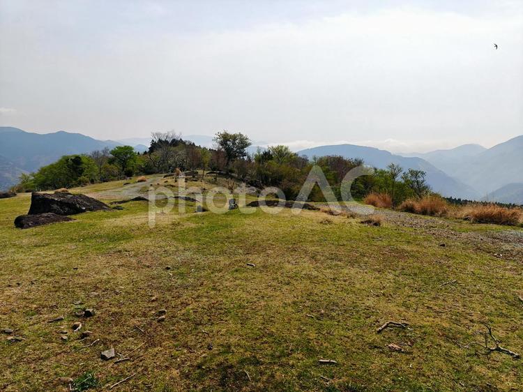 丹野平の風景 丹野平,伊豆,高原の写真素材